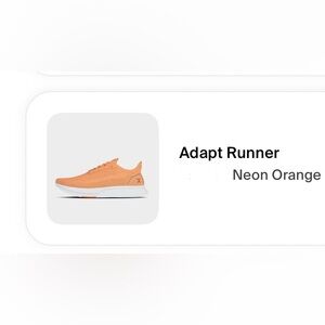 Flux Adapt Runner
